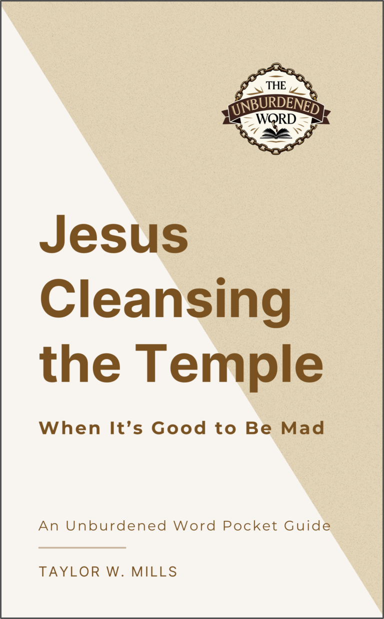 Jesus Cleansing the Temple cover with border